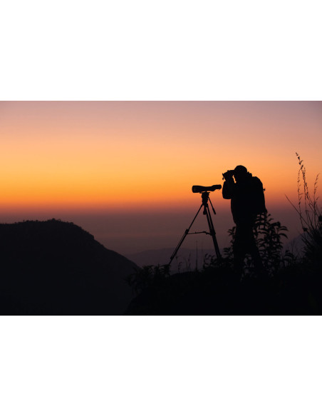 Longue-Vue STX 65 Swarovski 25-60x
