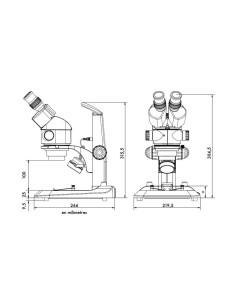 Loupe binoculaire Euromex StereoBlue Zoom 7x-45x 2
