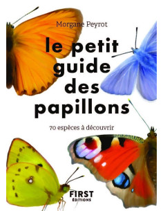 Petit guide des papillons