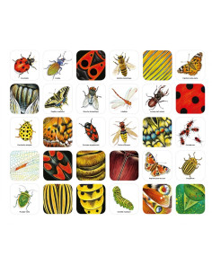 Mémo des insectes Nathan 2