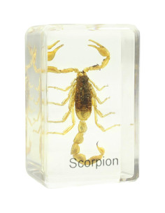 Préparation permanente Scorpion