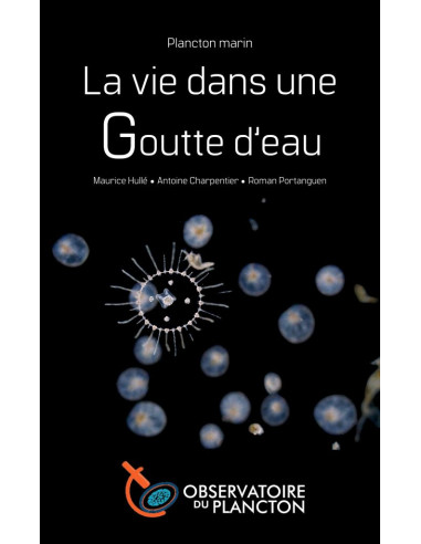 Plancton marin, La vie dans une goutte d'eau
