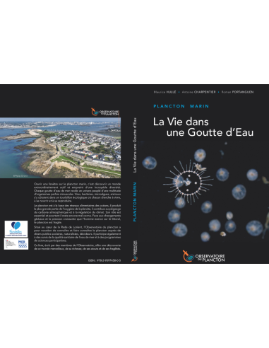 Plancton marin, La vie dans une goutte d'eau