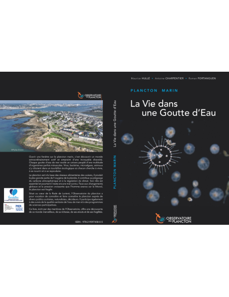 Plancton marin, La vie dans une goutte d'eau