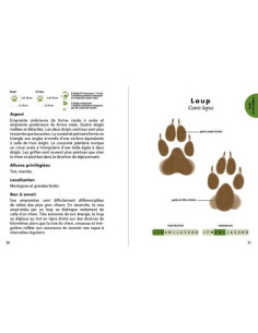 Petit guide des empreintes animales 2