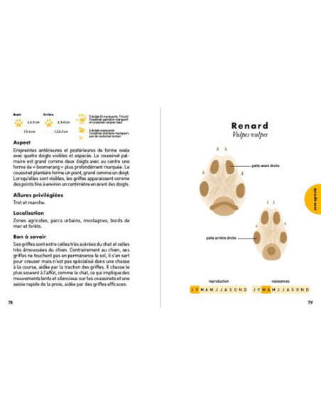 Petit guide des empreintes animales