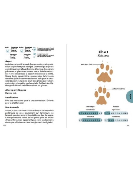 Petit guide des empreintes animales