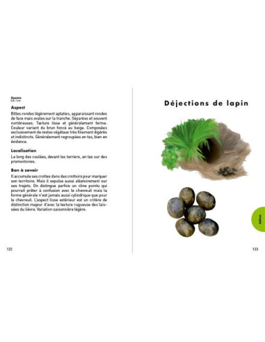 Petit guide des empreintes animales