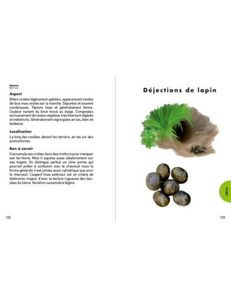 Petit guide des empreintes animales