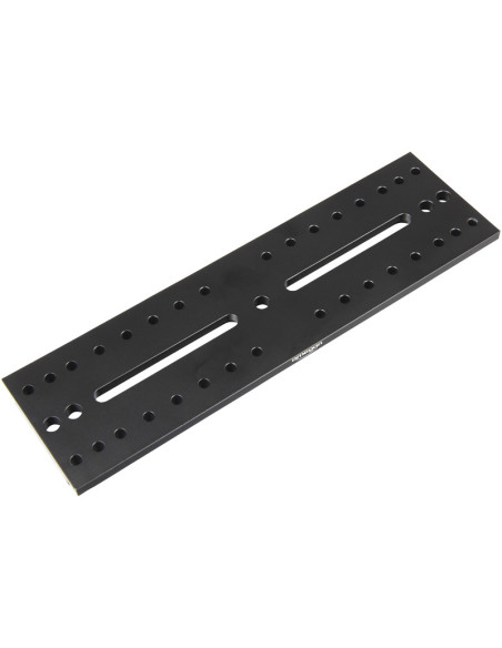 Queue d'aronde Losmandy 33 cm Omegon