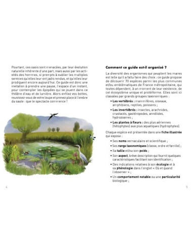 Petit guide de la mare
