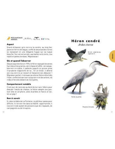 Petit guide de la mare