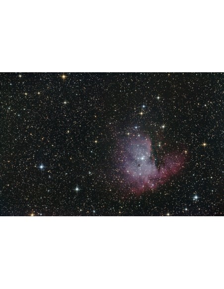 Télescope Perl Bellatrix Newton 200/1000 sur EQ5