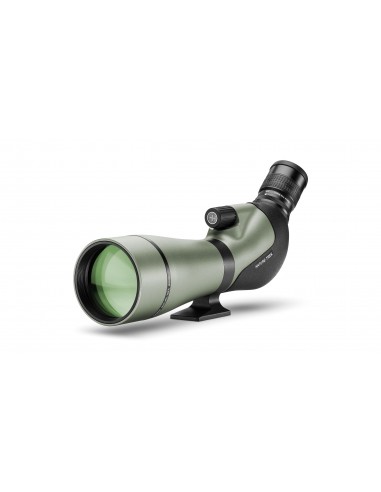 Longue-Vue Hawke Nature Trek 20-60x80