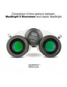 Tête binoculaire Baader Maxbright II 2