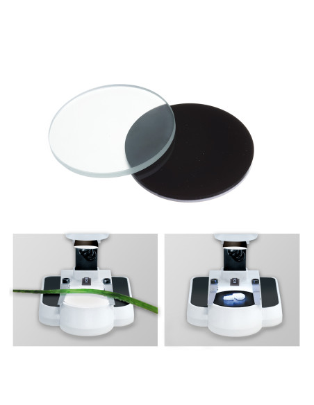 Loupe Binoculaire Bresser Junior 20x/50x éclairée