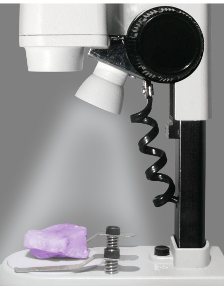 Loupe Binoculaire Bresser Junior 20x/50x éclairée