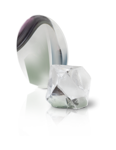 Longue-Vue Kowa TSN-99S Prominar
