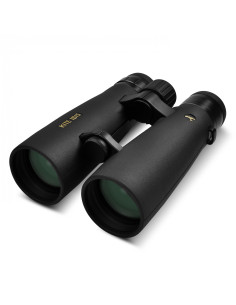 Jumelles Kite Ibis 50 ED