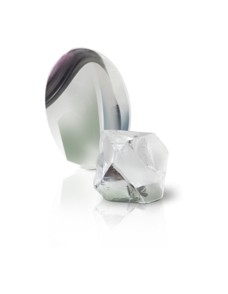 Longue-Vue Kowa TSN-66A Prominar