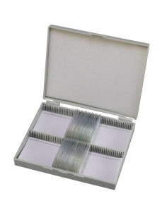Coffret de lames préparées pour microscope