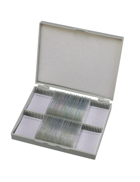 Coffret de lames préparées pour microscope