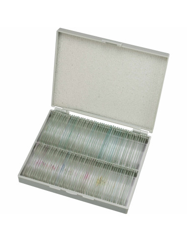 Coffret de lames préparées pour microscope