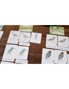 Mon coffret Montessori des oiseaux 2