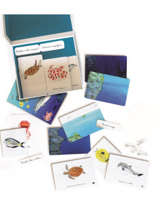 Mon coffret Montessori des océans 2