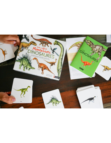 Mon coffret Montessori dinosaures