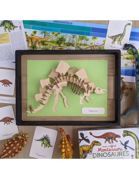 Mon coffret Montessori dinosaures