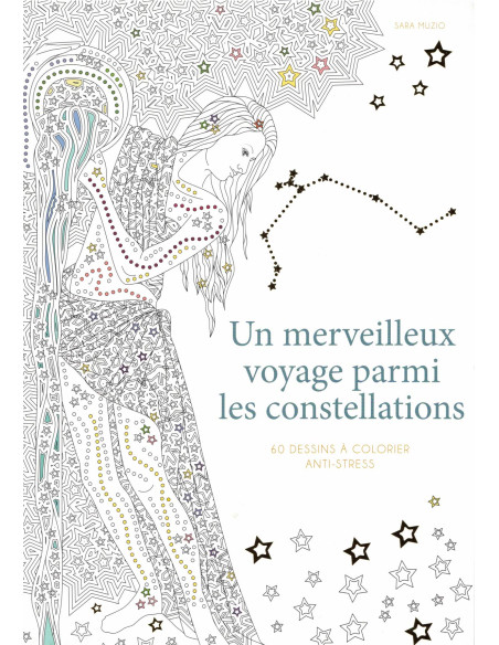 Un merveilleux voyage parmi les constellations