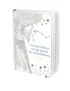 Un merveilleux voyage parmi les constellations