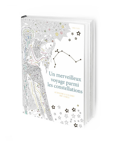 Un merveilleux voyage parmi les constellations